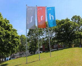 Drei Fahnen mit dem Schriftzug "srh" in verschiedenen Farben stehen auf einem grünen Hügel, umgeben von Bäumen und einem klaren blauen Himmel.
